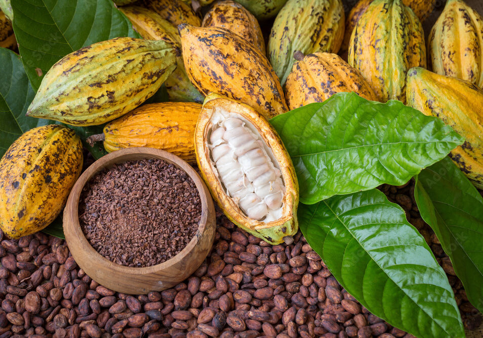 adobestock 162579454 preview