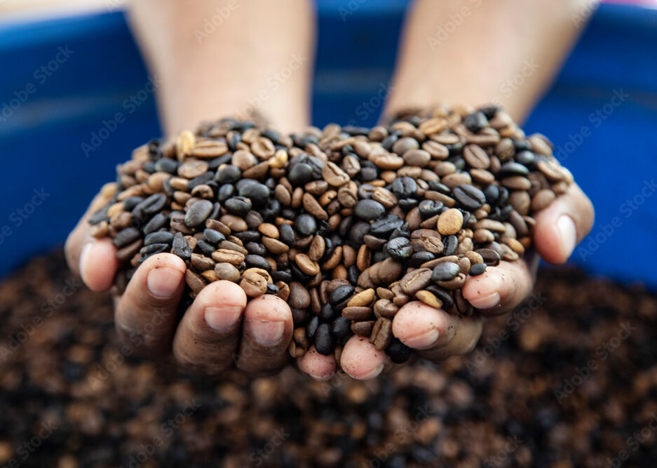 adobestock 334622644 preview